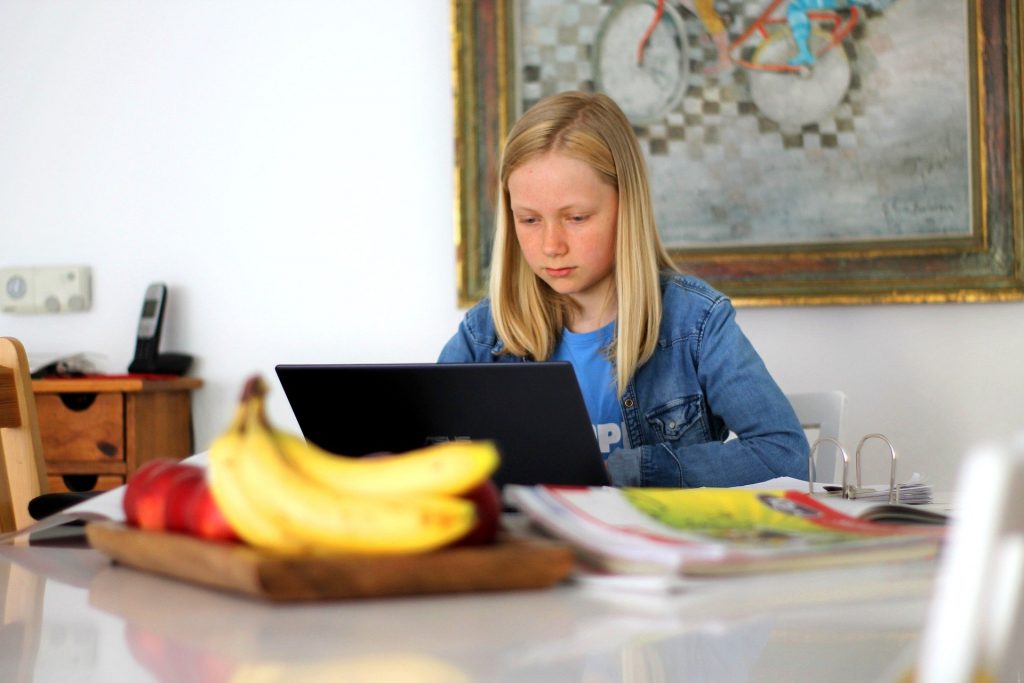 Girl learning school subject on laptop
